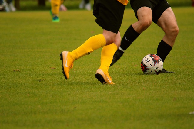 成为了赢得 成为了赢得