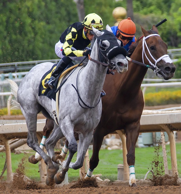 资金运作和 资金运作和