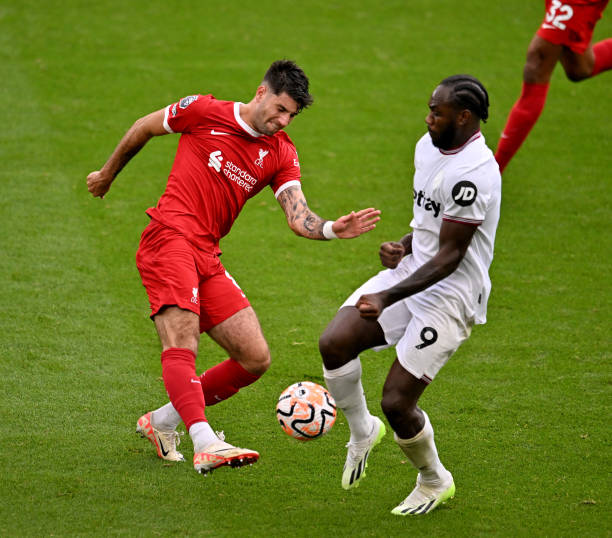 有望在接下 有望在接下