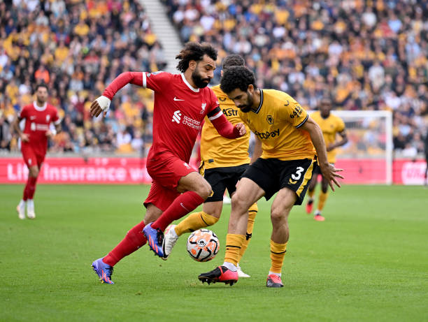 记者指出 记者指出